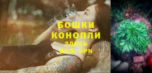 гашик Арсеньев